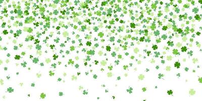 Shamrock or green clover leaves pattern background flat design vector illustration isolated on white background.