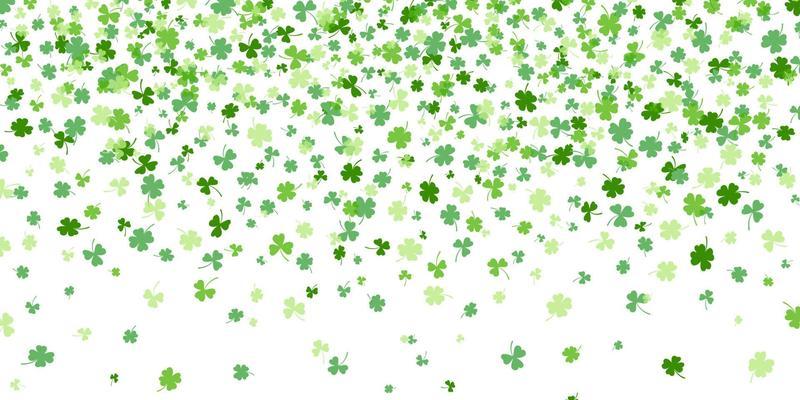 Shamrock or green clover leaves pattern background flat design vector illustration isolated on white background.