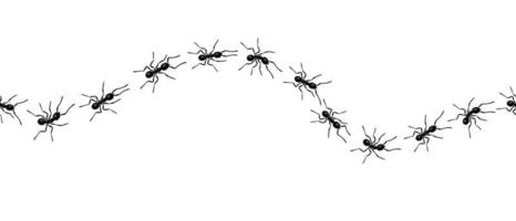 Worker ants trail line flat style design vector illustration isolated on white background.