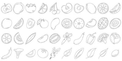 un conjunto de frutas y verduras de línea, rodajas y mitades de frutas, hojas y huesos. iconos de línea vector