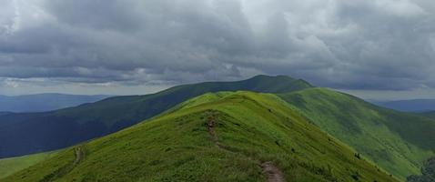 Mountain landscape. Colorful summer landscape in the Carpathian mountains. book cover. photo