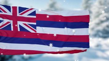 fondo de bandera de copos de nieve de invierno de hawaii. Estados Unidos de América. ilustración 3d