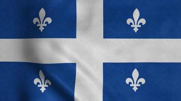 Quebec Province flag video waving in wind. 3d illustration photo