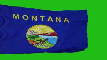 Flag of Montana on Green Screen. Perfect for your own background using green screen. 3d rendering photo