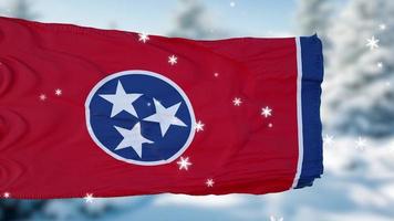 Fondo de bandera de copos de nieve de invierno de Tennessee. Estados Unidos de América. ilustración 3d foto