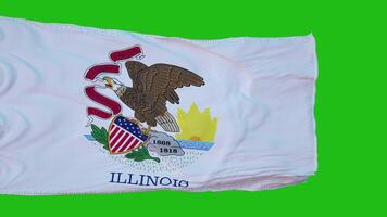 Flag of Illinois on Green Screen. Perfect for your own background using green screen. 3d rendering photo