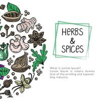 Herb and spice package design template, drawn element in style. Cooking. Herbs and spices, nuts and roots. Logo in a trendy linear style. vector