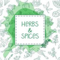 Herbs and spices, hand-drawn vector illustrations. Hand-drawn food sketch. Aromatic plants. Packaging design. Sketch style. Silhouette design of spices and herbs. In a trendy green color.