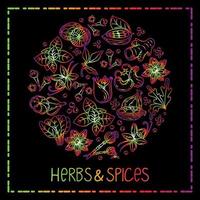 Hand-drawn herbs and spices in a doodle style. Elements in a circle on a black background. Rainbow. Handwritten lettering. Nuts, spices and herbs. Pepper peas. Flat style vector. vector