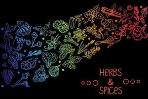 Herbs and spices, hand-drawn doodle-style elements. Layout of packaging on a black background. Rainbow of aromatic plants. Culinary. Postcard design. Sketch style. vector