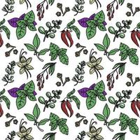 Seamless pattern of herbs, drawn element in doodle style. Culinary, Kitchen. Herbs and spices - chili, vanilla, barberry, rosemary, bay leaf, etc. Pattern in a fashionable linear style. vector