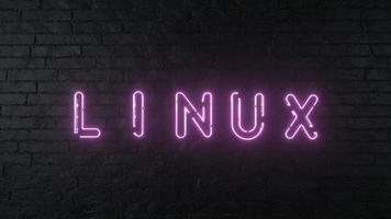 LINUX neon sign. Glowing LINUX emblem on dark brick wall background. 3d rendering photo