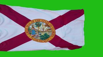 bandera de florida en pantalla verde. perfecto para su propio fondo con pantalla verde. representación 3d foto