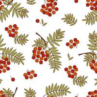 Seamless autumn pattern with branches and rowan berries. Flat vector background