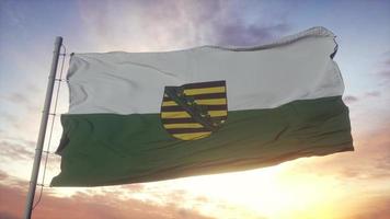 Saxony flag, Germany, waving in the wind, sky and sun background. 3d rendering photo