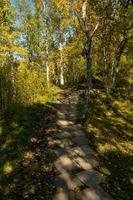 Landscape with a stone path in the autumn park photo