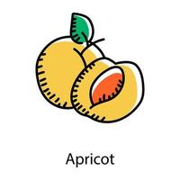 Apricot doodle style icon, editable vector