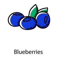 Blueberries in doodle style icon, organic and healthy food vector