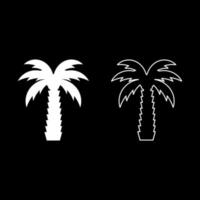 Palm tree tropical coconut set icon white color vector illustration image solid fill outline contour line thin flat style