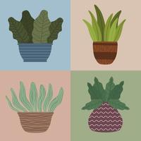 four houseplants gardening icons vector