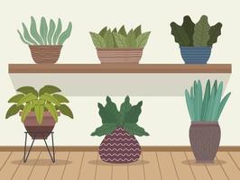 plantas de interior jardinería en estantes