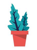 houseplant in pot vector