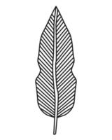 monochrome leaf plant vector