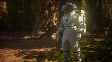 astronaute solitaire dans la forêt sombre video