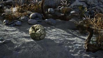 een oude gescheurde voetbal gegooid ligt op zand van zee strand video