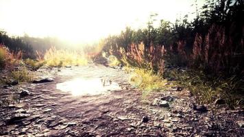 onverharde landweg in het veld in de herfst op een zonnige dag video