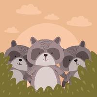 cute raccoon animals vector