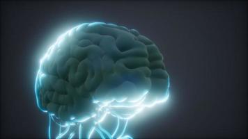 modelo animado del cerebro humano video