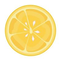 lemon sliced fruit vector