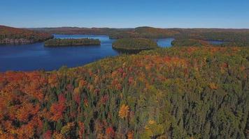 Sequência de vídeo 4k do algonquin provincial park, canadá - algonquin provincial park at fall canadá video