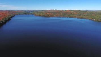 Secuencia de video 4k del parque provincial de algonquin, canadá - durante el día en el parque provincial de algonquin en otoño en ontario, canadá