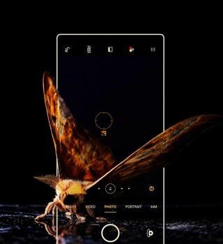 Moth in smartphone camera frame with 3d effect on black background photo