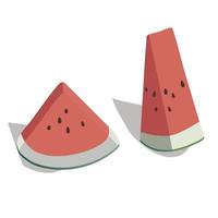 Two slices of white, tasty watermelon vector