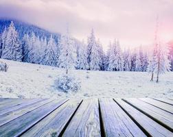 paisaje de invierno en una puesta de sol. montañas cárpatos foto