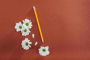 flores blancas y lápiz sobre un fondo marrón foto