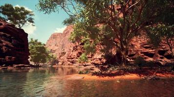 Colorado River flows through the Grand Canyon video