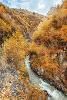 golden autumn landscape between rocky mountains and noisy river in Georgia. Europe photo