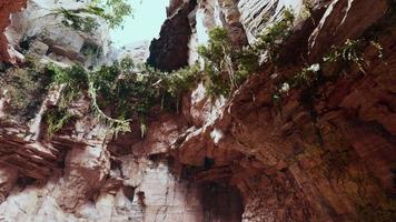 large fairy rocky cave with green plants video