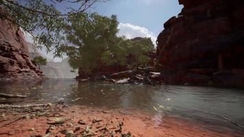 redwall reflection in Colorado River video