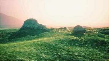 prairie alpine avec rochers et herbe verte video