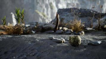 An old torn soccer ball thrown lies on sand of sea beach video