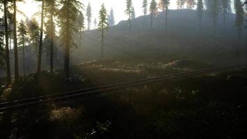 National Forest Recreation Area and the fog with railway video