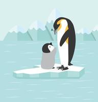 Penguin with baby  in North pole Arctic