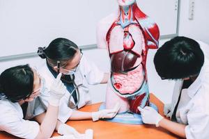Group of doctor discussion about human internal body organs dummy