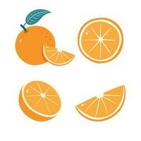 Orange Fruit. Segmented tangerine. Sliced Citrus illustrations Set vector