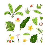 conjunto de flores y hojas de plantas y árboles exóticos. colección de vectores de flora tropical